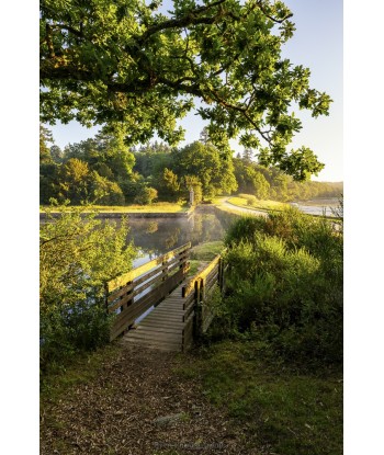 Passerelle en bois au...