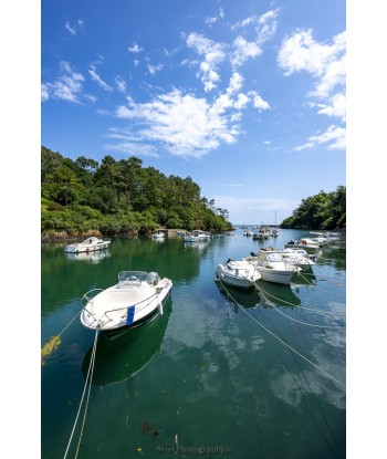 Port de Brigneau — vedettes...