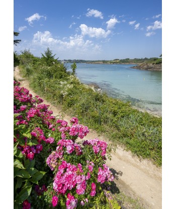 Kerfany — roses fuchsia le...