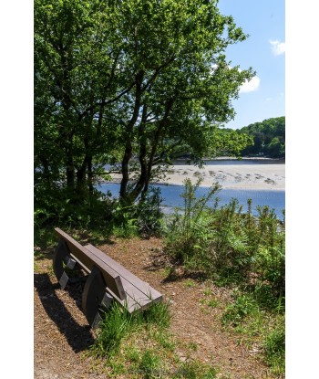 Banc en bois au bord de la...