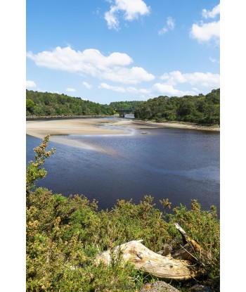 Estuaire du Pouldu — bois...