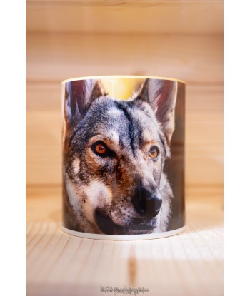 mug 7 animalier