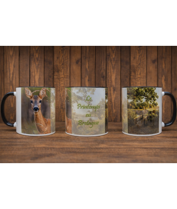 mug 1 le printemps en Bretagne