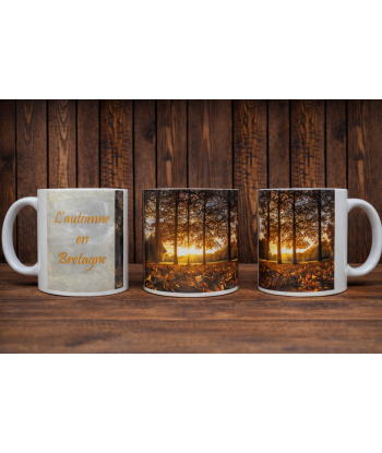 mug 4 l'automne en Bretagne