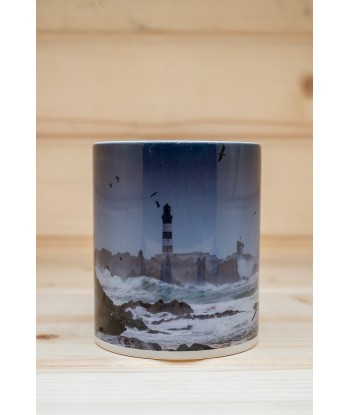 mug 5 kermorvan