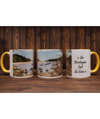 mug 3 citation