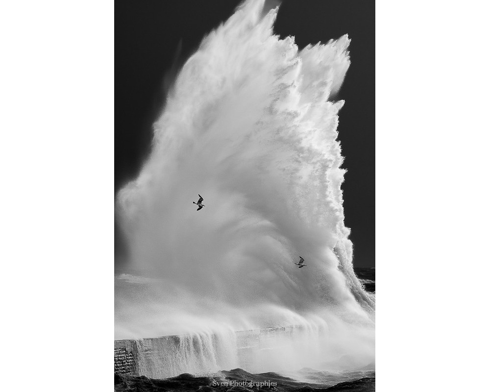 Tempête Ingrid à Lomener, vague géante — noir et blanc