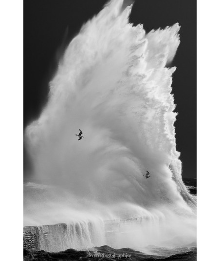 Tempête Ingrid à Lomener, vague géante — noir et blanc
