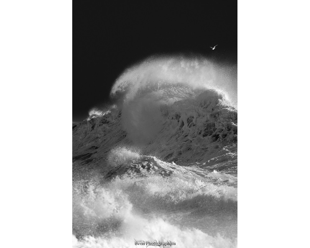 Tempête Joseph, vague qui se dresse à Lesconil — noir et blanc