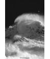 Tempête Joseph, vague qui se dresse à Lesconil — noir et blanc