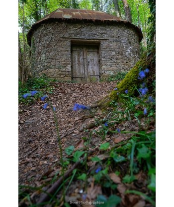 Bois de Placamen — Cabane...