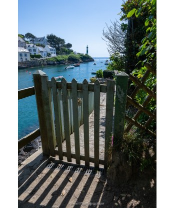 Portillon en bois ouvrant...