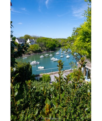 Port de Doëlan, mouillage...