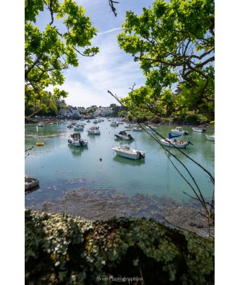 Bateaux au mouillage à...