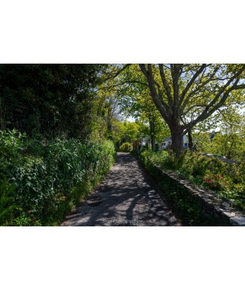 Chemin creux rive gauche de...