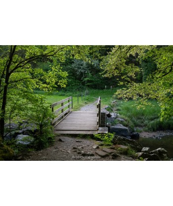 Pont en bois sur la ria de...