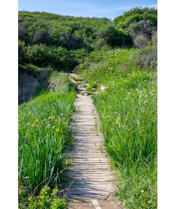 Passerelle en bois sur le...