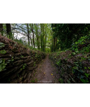 Chemin creux entre vieux...