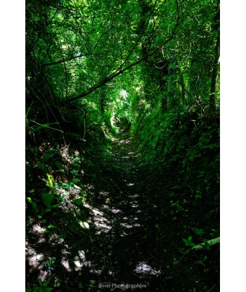 Chemin creux de Merrien —...