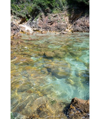 Eaux cristallines de l'anse...