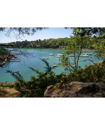 copy of copy of copy of...
