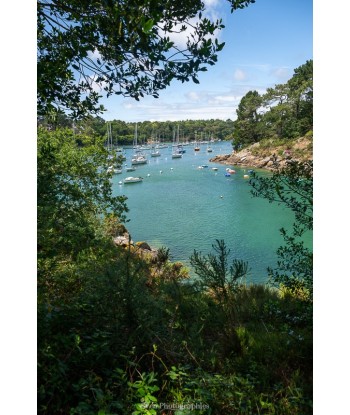 L'anse du Bélon depuis les...