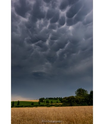 copy of Orages 8