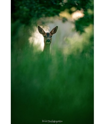 tirage art nature