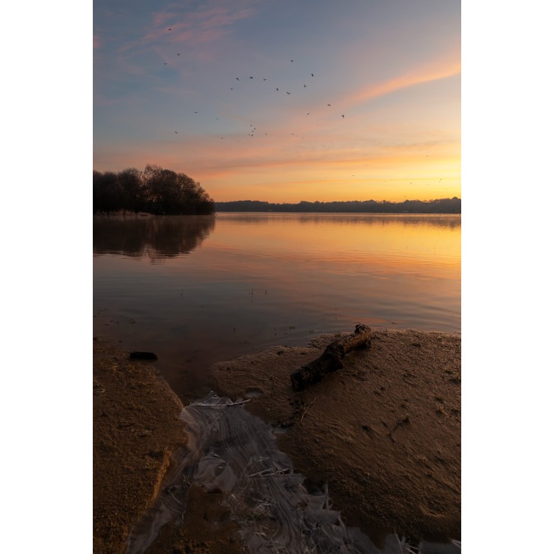 Lac au Duc à Ploërmel, rive gelée et vol d'oiseaux à l'aube