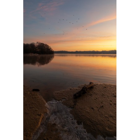 Lac au Duc à Ploërmel, rive gelée et vol d'oiseaux à l'aube