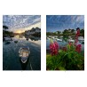 Le port de Doëlan — Vivre au port — vue 4