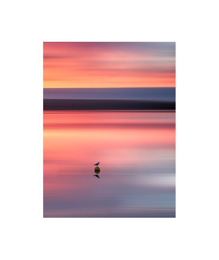 Étang de Vioreau en flou directionnel, rose et bleu