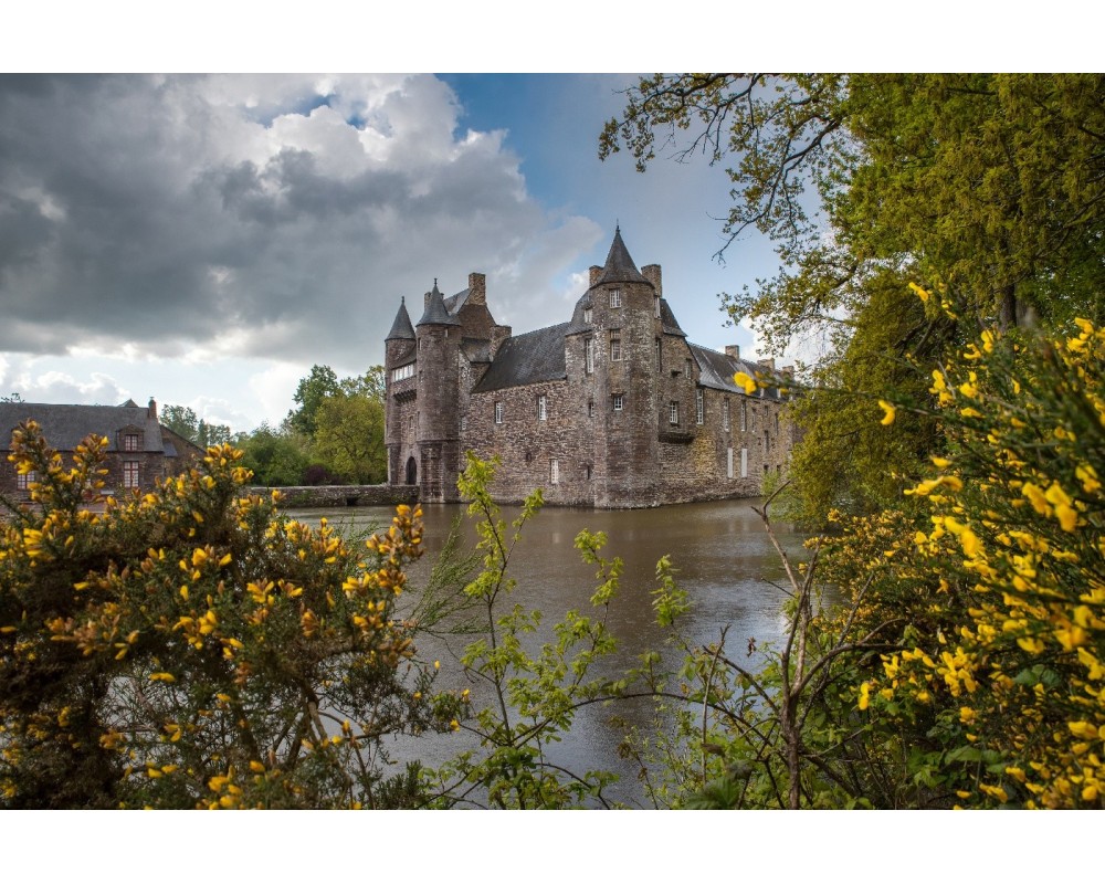 Château de Trécesson entre les arbres