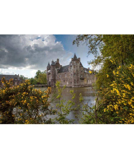 Château de Trécesson entre les arbres