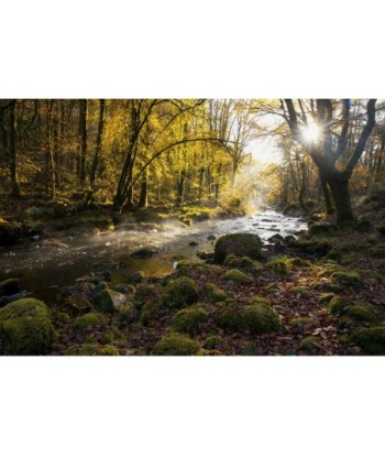 Le Faouët, rivière et...