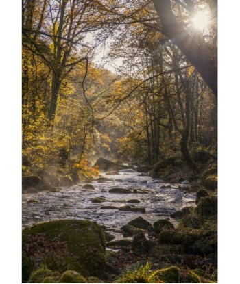 Le Faouët, rivière...