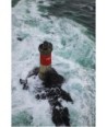 Phare de la Pierre Noire — Vue plongeante sur la tour rouge et le rocher noir dans l'écume