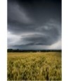 Monts d'Arrée — mésocyclone vertical sur champ de blé, orage supercellulaire