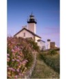 Phare de Pontusval à l'heure bleue — Fleurs mauves et ciel rose sur la lande de Brignogan