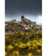 Phare de Mean Ruz sous l'orage — Genêts jaunes et granit rose sous le ciel menaçant