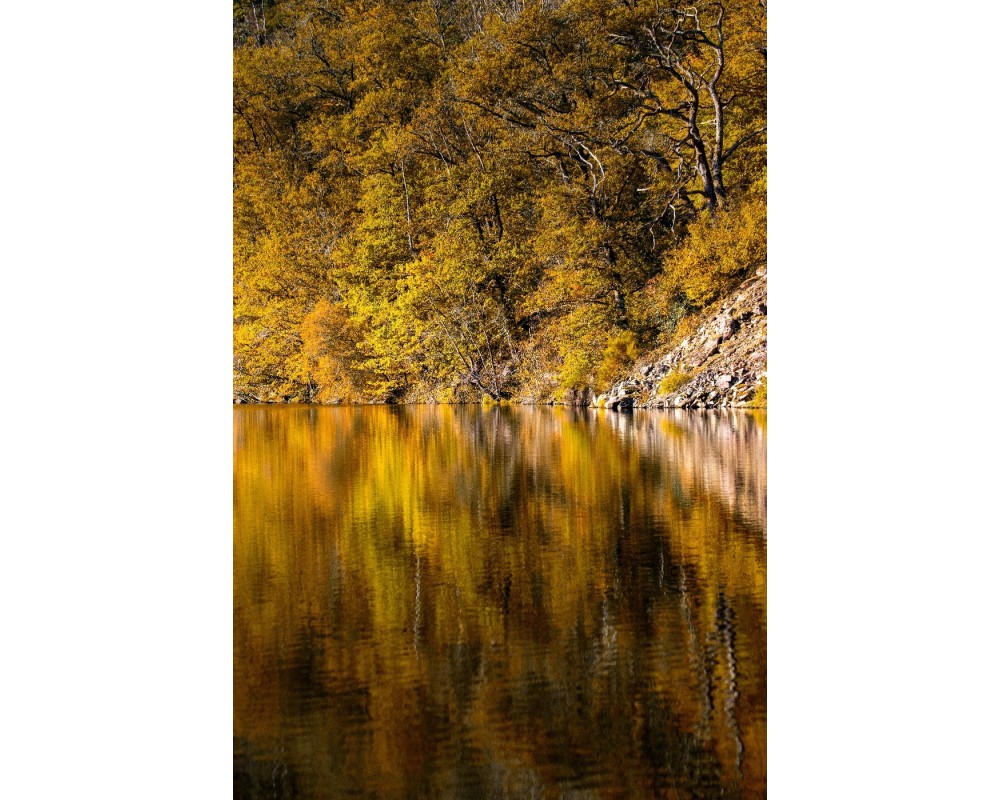 Reflets d'automne sur la Creuse
