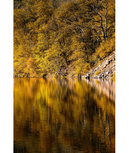 Reflets d'automne sur la Creuse