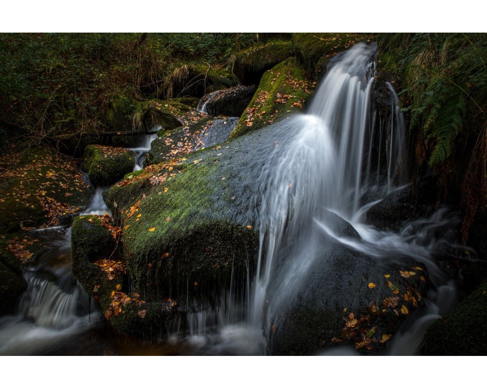 Cascade d'Augerolles, chute sur le rocher moussu