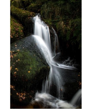 Cascade d'Augerolles, voile d'eau sur la mousse