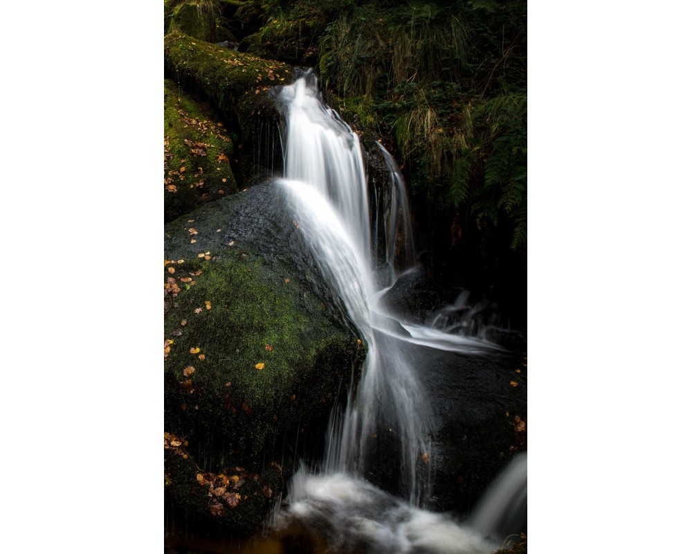 Cascade d'Augerolles, voile d'eau sur la mousse