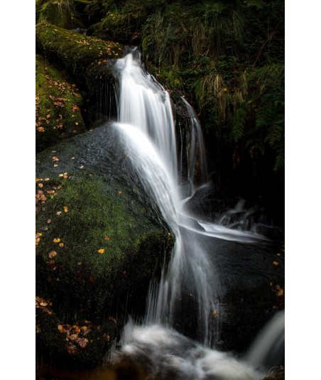 Cascade d'Augerolles, voile d'eau sur la mousse