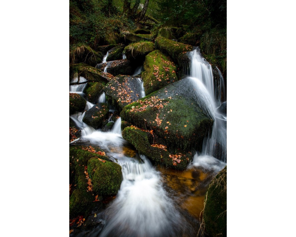 Cascade d'Augerolles, chute principale et rochers verts