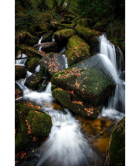 Cascade d'Augerolles, chute principale et rochers verts