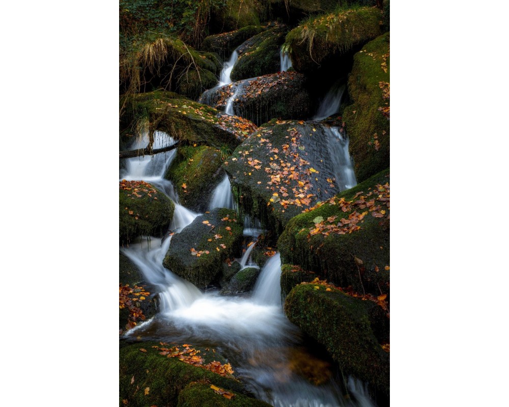 Cascade d'Augerolles, filets d'eau dans la pénombre