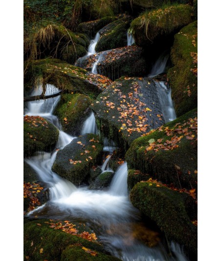 Cascade d'Augerolles, filets d'eau dans la pénombre
